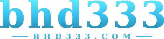 bhd333 logo